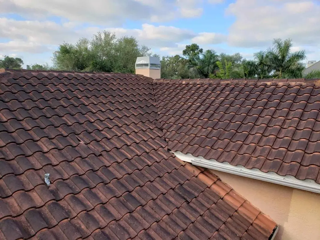TILE-ROOF-CLEANING