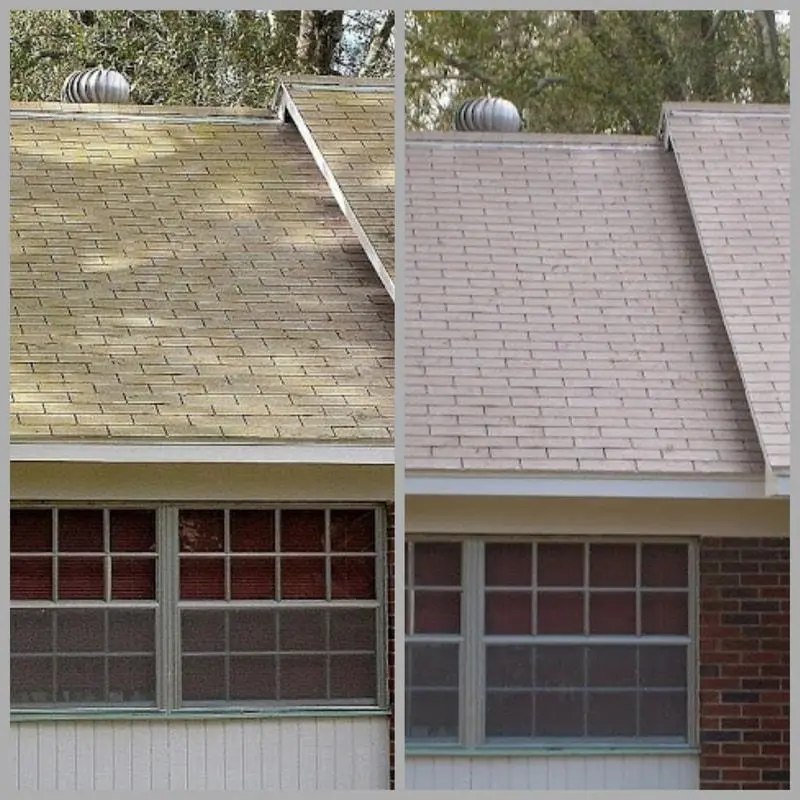 Asphalt Shingle Roof Cleaning Boca Raton 2 Asphalt Shingle Roof Cleaning Boca Raton