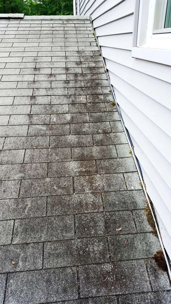 Asphalt Shingle Roof Cleaning Boca Raton 3 Shingle Roof Cleaning