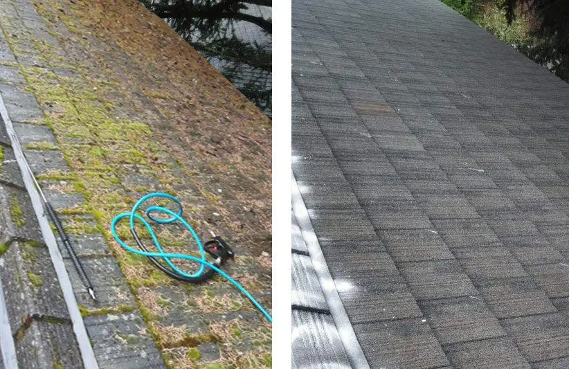 Asphalt Shingle Roof Cleaning Boca Raton 4 Asphalt Shingle Algae Roof Cleaning Boca Raton