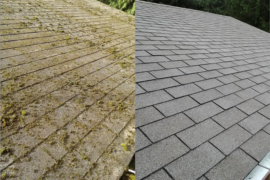 Roof Fungus Removal Boca Raton 1 Roof Fungus Removal Boca Raton