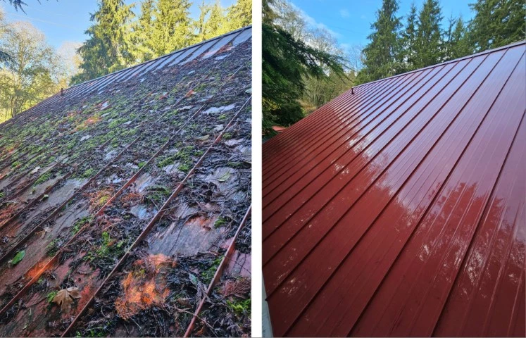 metal roof cleaning boca raton, fl