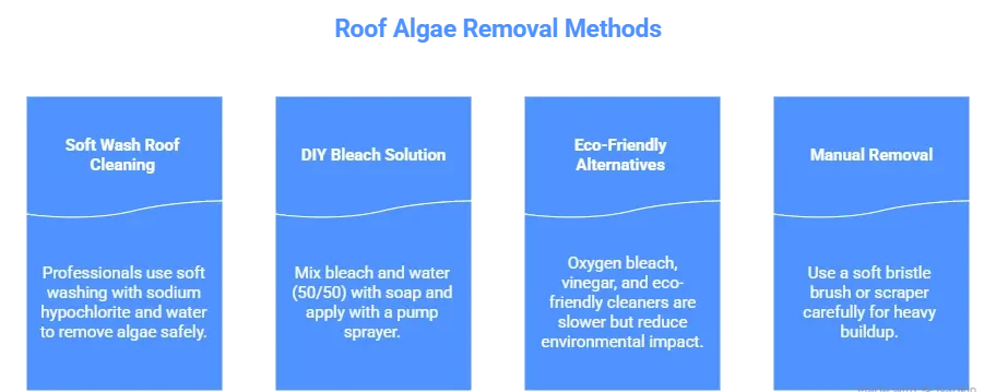 Remove Algae from Roof Safely 3 roof cleaning with softwash method